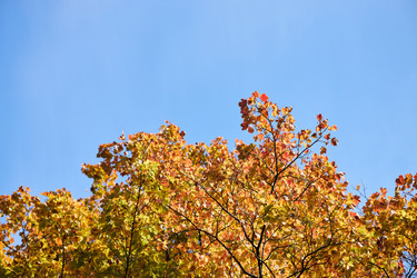 Similar image 22343880