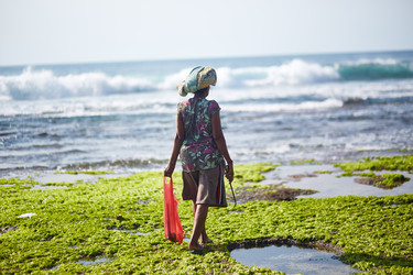 Similar image 22342991