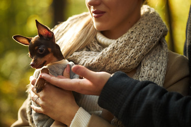 Similar image 22343850