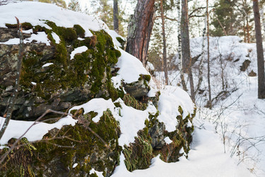 Similar image 22342509