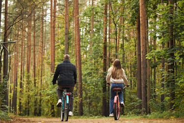 Similar image 22343898