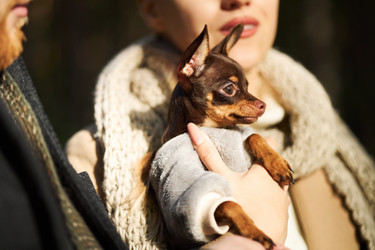 Similar image 22343853