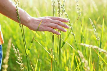 Similar image 22345977