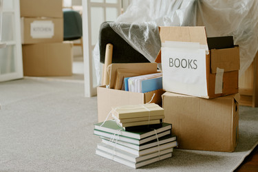 Similar image 22343499