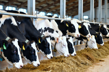 Similar image 22345885