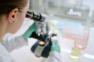 Similar image 22343462