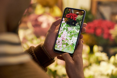 Similar image 22344151