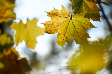 Similar image 22343872