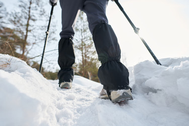 Similar image 22342483