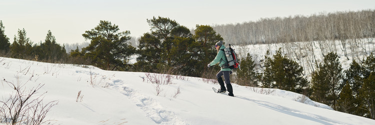 Similar image 22342602