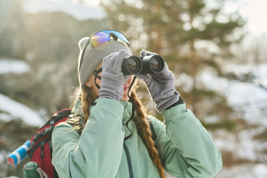 Similar image 22342561