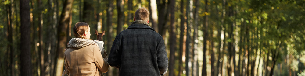 Similar image 22343905