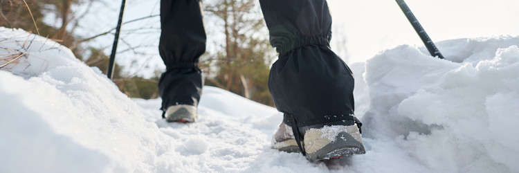 Similar image 22342629