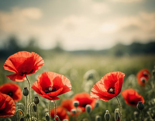 Similar image 22336100