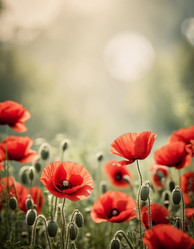 Similar image 22336540