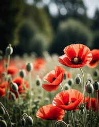 Similar image 22337070