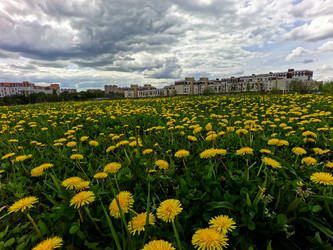 Similar image 22340077