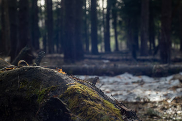 Similar image 22339897