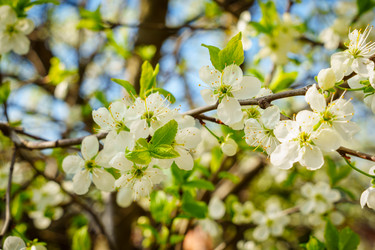 Similar image 22340167