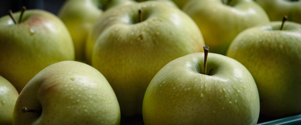 Similar image 22336133