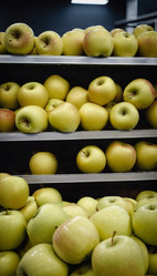 Similar image 22336593