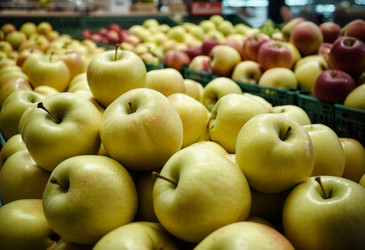 Similar image 22336595