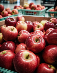 Similar image 22336597