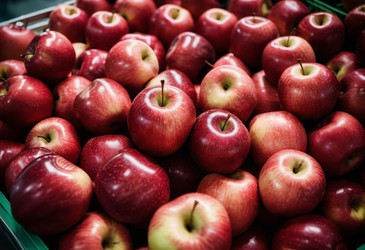 Similar image 22336871