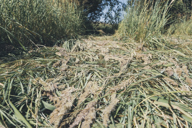 Similar image 22340124