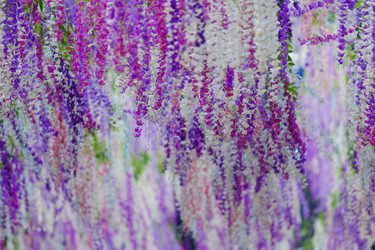 Similar image 22339925