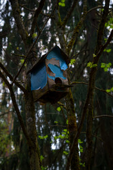 Similar image 22340087