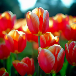 Similar image 22337099