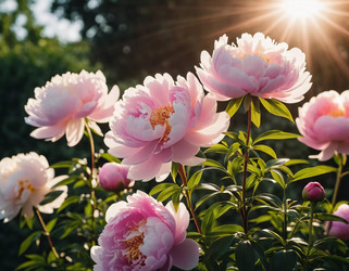 Similar image 22336144