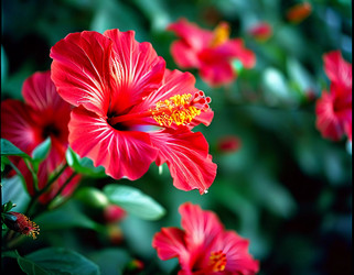 Similar image 22336882