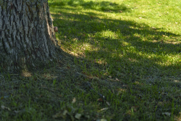 Similar image 22339980