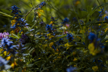 Similar image 22340218