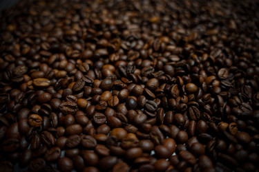 Similar image 22339996