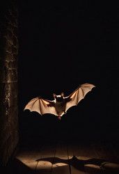 Similar image 22336999