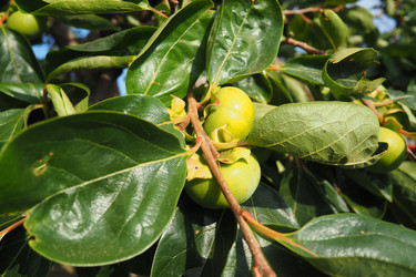 Similar image 22336162