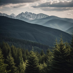 Similar image 22336169