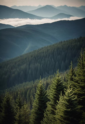 Similar image 22336900