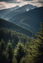 Similar image 22337119