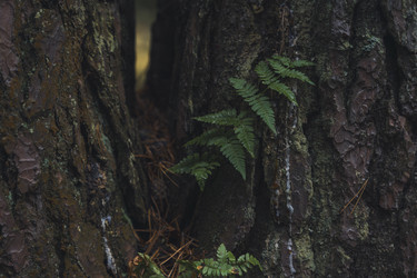 Similar image 22340250