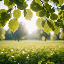 Similar image 22336710