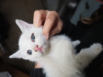 Similar image 22336181