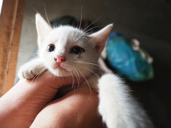 Similar image 22336713