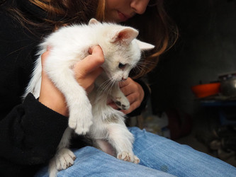 Similar image 22336714