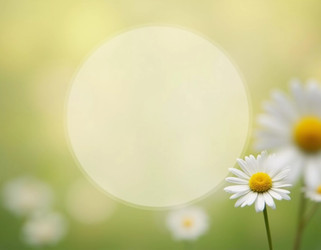 Similar image 22336913