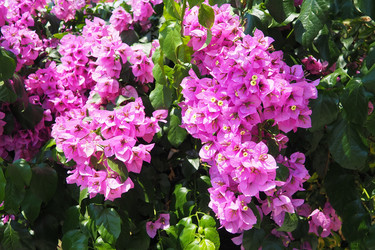 Similar image 22336194