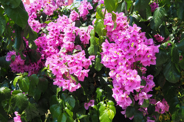 Similar image 22336437